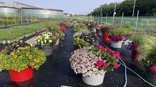 La précédente édition de Syntech s’était déroulée près de Dijon, au cœur des Ets Bourgogne plantes à Neuilly-Crimolois (21).