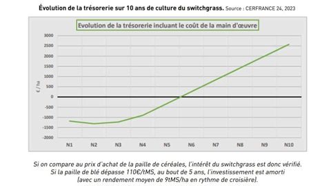 Évolution de la trésorerie sur 10 ans de culture du switchgrass.