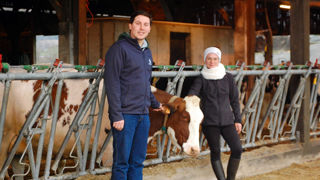 « Les vaches taries sont presque les animaux sur lesquels nous intervenons le plus », confient Luc Sassel et Amélie Rouelle, sa compagne et bras droit sur l’exploitation.