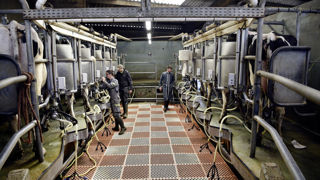 En France, en février 2024, le prix du lait continue sa légère redescente tout en restant au-dessus de la moyenne européenne. En France, en février 2024, le prix du lait continue sa légère redescente tout en restant au-dessus de la moyenne européenne.