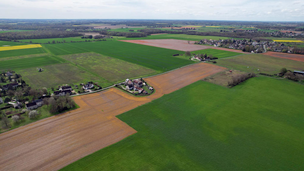 Les députés de la commission des affaires économiques ont supprimé l'article de la loi d'orientation agricole créant les groupements fonciers agricoles d’investissement.