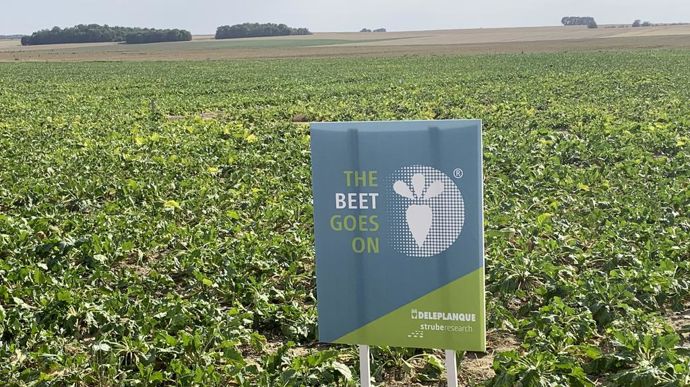 La reprise de 100 % des parts de Strube par Deleplanque sera effective au plus tard dans le courant du deuxième semestre 2024.