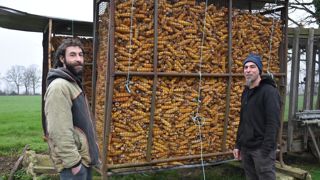 Bertrand Joyeux (à gauche) et Nicolas Calame (à droite) font partie d'un collectif d'éleveurs qui sélectionne du maïs population.