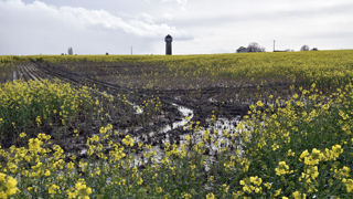 Avril 2024 a été divisé en deux sur le plan météorologique, avec une première quinzaine estivale et une seconde sous les normales de saison.