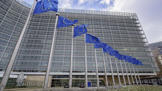Les ONG dénoncent des décisions « électoralistes » au détriment des politiques environnementales de l'Union européenne. Les ONG dénoncent des décisions « électoralistes » au détriment des politiques environnementales de l'Union européenne.