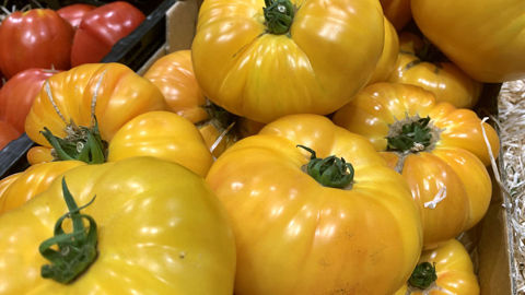 Pour les jeunes, ce sont les mots de santé, de pertinence, de soutenabilité qui sont associés aux fruits et légumes.