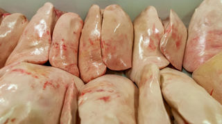 L'avocate de L214 estime que le gavage pour le foie gras n'est pas conforme au droit européen. L'avocate de L214 estime que le gavage pour le foie gras n'est pas conforme au droit européen.
