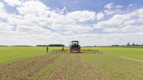 Pour limiter le recours aux produits phytos, le réseau Dephy Expe teste différents leviers : biocontrôle, prophylaxie, couverts végétaux, adaptation de la fertilisation, désherbage mécanique, etc.