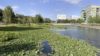 Le 13 juin prochain, Echos-paysage, qui fédère les structures professionnelles de la région Aura, propose une rencontre sur le thème de l’eau.