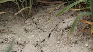 L'aide apportée par l’État aux Pyrénées orientales vise notamment à soutenir des projets de réutilisation d'eaux usées et de sécurisation des réseaux d'irrigation.