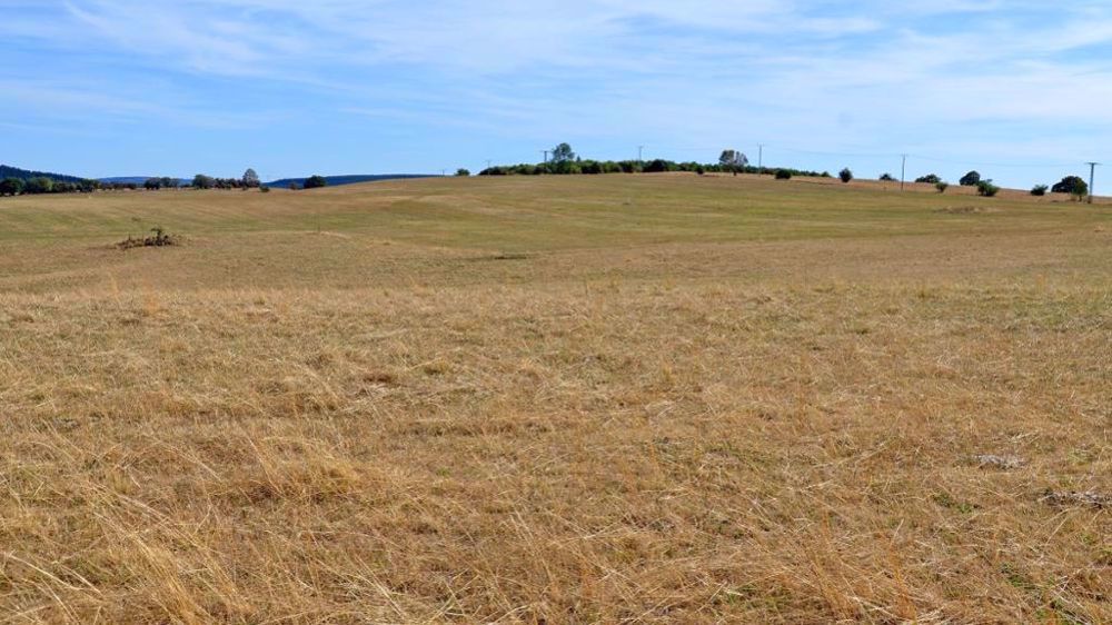 Les anticipations de Météo-France jusqu'à juillet montrent une tendance à des conditions plus chaudes que la normale. Les anticipations de Météo-France jusqu'à juillet montrent une tendance à des conditions plus chaudes que la normale.