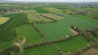 Après un pic en 2022, le nombre de transactions et les hectares concernés par le marché des terres et prés a ralenti en 2023.