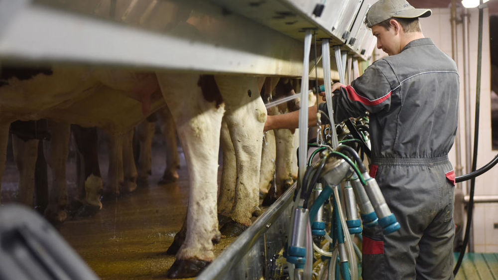 Les représentants de l'enseignement agricole ont tiré la sonnette d'alarme sur les moyens financiers attribués aux établissements scolaires.