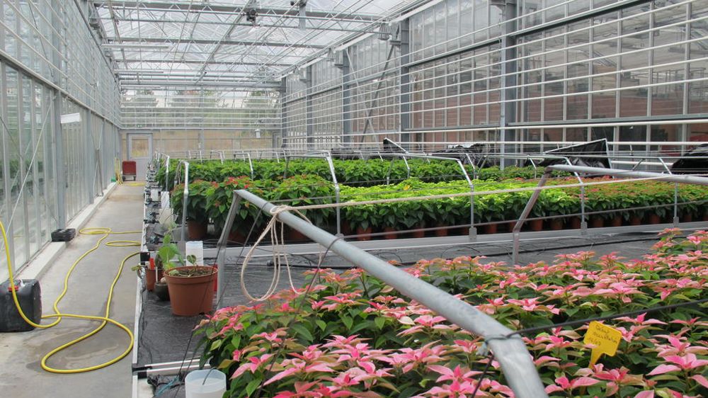 Pour aider les producteurs sous serres à passer des énergies fossiles aux énergies renouvelables, onze organismes de cinq pays différents ont lancé un programme d’exploration de nouvelles solutions aidé par l’Europe.