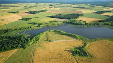 L'Etat aura pour objectif d'arriver en 2030 à une « surface agricole utile cultivée en agriculture biologique » qui « atteigne 21 % » et « 10 % » pour les légumineuses.