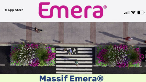 L’application Verdiapp prolonge le guide papier « Des solutions pour des espaces végétalisés durables » pour en étendre les modalités d’utilisation. L’application Verdiapp prolonge le guide papier « Des solutions pour des espaces végétalisés durables » pour en étendre les modalités d’utilisation.