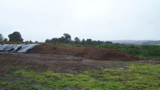 Les composts à base de déchets alimentaires sont plus riches en éléments nutritifs.