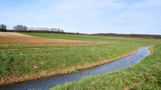 Selon Pesticide action network Europe et Générations futures, la concentration en TFA dans les eaux de surface et souterraine est « générale, avec des concentrations remarquablement élevées dans les zones agricoles. » Selon Pesticide action network Europe et Générations futures, la concentration en TFA dans les eaux de surface et souterraine est « générale, avec des concentrations remarquablement élevées dans les zones agricoles. »