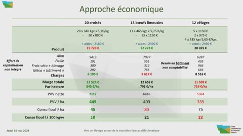 Approche économique de la production de croisés angus et boeufs sur une exploitation bovin viande