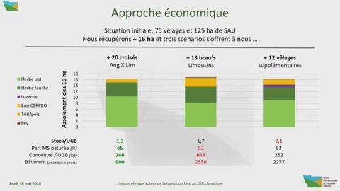 Approche économique de la production de croisés angus et boeufs sur une exploitation bovin viande