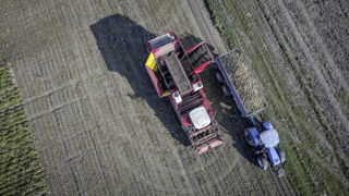 Selon Tereos, la performance financière du groupe « confirme les choix stratégiques opérés ».