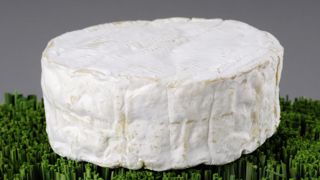 La ferme à ferments va tester des ferments lactiques qui ouvrent la pâte des camemberts sous AOP.