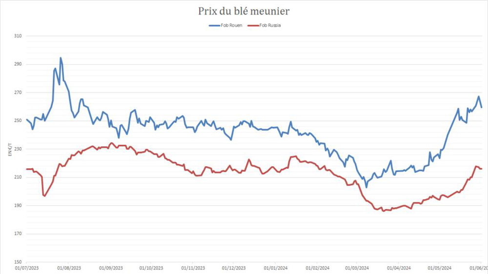 Le blé russe gagne en compétitivité.