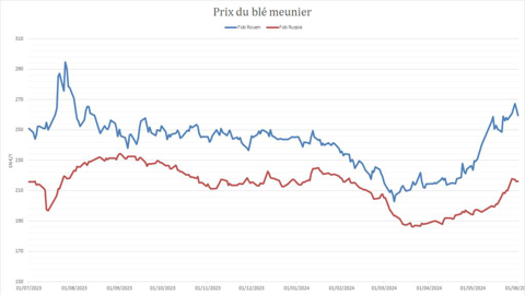 Le blé russe gagne en compétitivité.