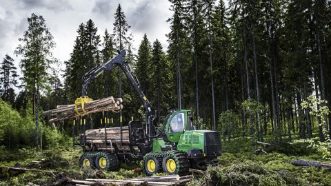 Très bon millésime en 2023 Très bon millésime en 2023