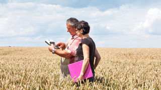 Le Conseil général de l’alimentation, de l’agriculture et des espaces ruraux (CGAAER) a audité en 2023 la mise en œuvre de la séparation du conseil et de la vente des produits phyto. Le Conseil général de l’alimentation, de l’agriculture et des espaces ruraux (CGAAER) a audité en 2023 la mise en œuvre de la séparation du conseil et de la vente des produits phyto.