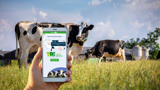 Découvrez qui traiter et quand traiter grâce au TRI visuel