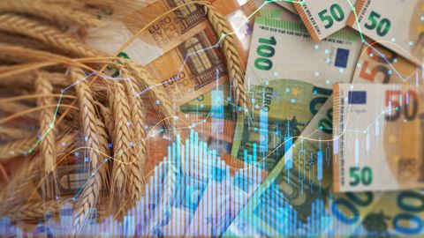 Les cours mondiaux des céréales se replient des derniers jours Les cours mondiaux des céréales se replient des derniers jours