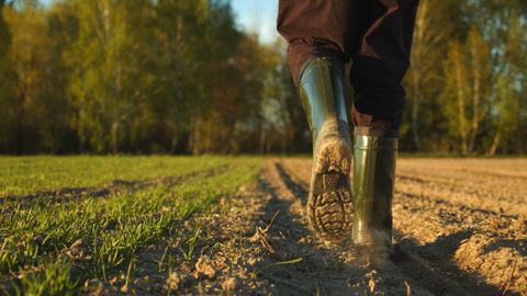 Qu'est ce qu'un agriculteur actif ? Les congressistes JA ont débattu de cette question mercredi 5 juin.