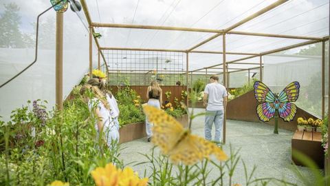 La galerie des papillons, nouveauté 2024 du parc, est bien plus qu’une attraction. Site exemplaire pour le choix de végétaux hôtes et nourriciers, son intérêt est aussi d’enseigner comment recréer des corridors de végétation en milieu urbain. La galerie des papillons, nouveauté 2024 du parc, est bien plus qu’une attraction. Site exemplaire pour le choix de végétaux hôtes et nourriciers, son intérêt est aussi d’enseigner comment recréer des corridors de végétation en milieu urbain.
