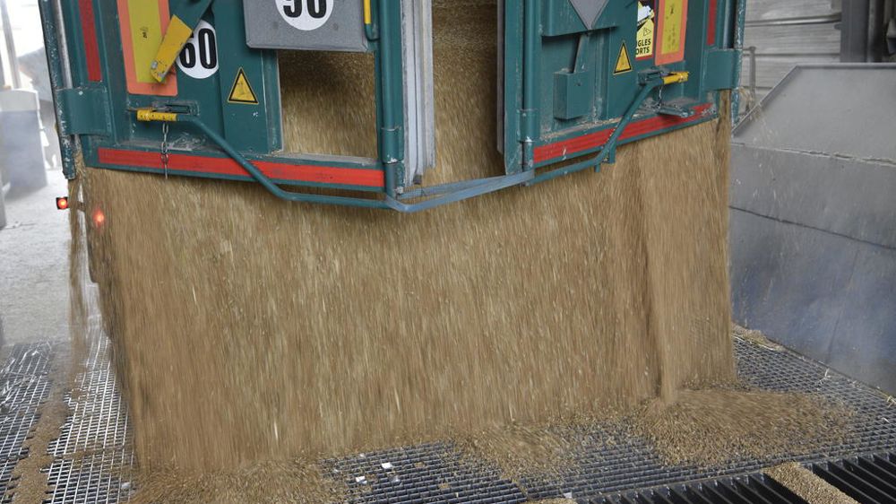 Les nouvelles mesures gouvernementales ont chahuté les marchés des matières premières agricoles.