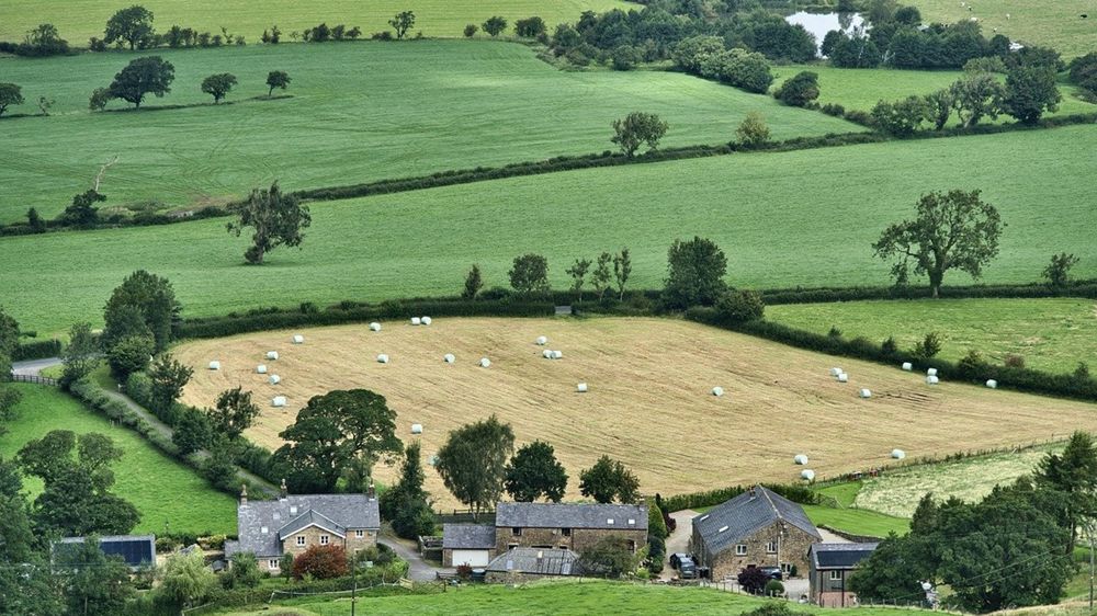 Les travaux engagés sur le projet de loi d'orientation agricole ou sur un renforcement du dispositif Egalim risquent d'être remis en cause.