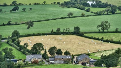 Les travaux engagés sur le projet de loi d'orientation agricole ou sur un renforcement du dispositif Egalim risquent d'être remis en cause.