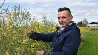 En 2021, Étienne Trumeau, qui pourrait se classer parmi « le top 10 des IFT les plus bas du Cher », n’avait utilisé aucun insecticide sur le colza.