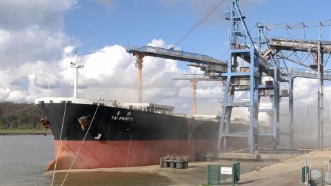 La France exporterait 10,2 Mt de blé tendre vers les pays tiers cette campagne, le volume le plus élevé depuis 2020/21.