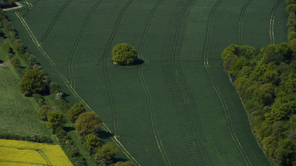 Biocontrôle : plus 30 % d’hectares déployés gagnés en deux ans en céréales !
