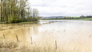 L'arrêté concerne 414 communes dont une grande partie située en Moselle. L'arrêté concerne 414 communes dont une grande partie située en Moselle.