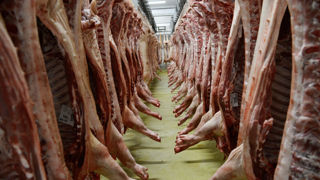 La Chine annonce avoir lancé une enquête antidumping sur les importations de porc et de produits à base de porc en provenance de l’Union européenne. La Chine annonce avoir lancé une enquête antidumping sur les importations de porc et de produits à base de porc en provenance de l’Union européenne.