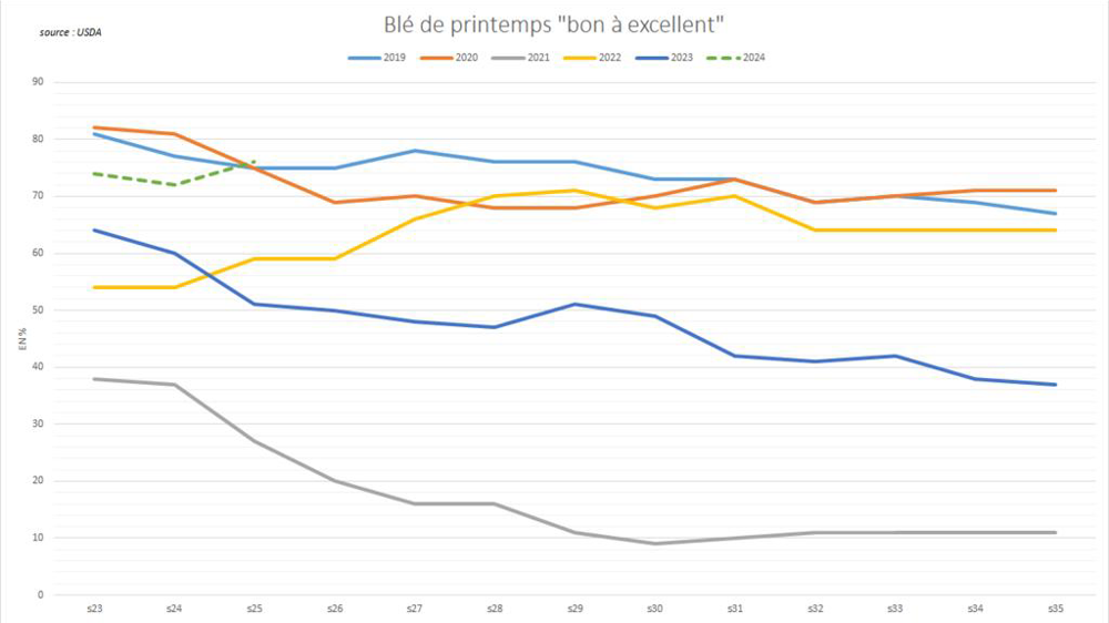 Les blés de printemps US affichent d'excellentes conditions de culture.