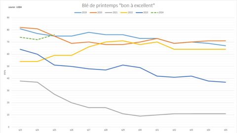 Les blés de printemps US affichent d'excellentes conditions de culture.