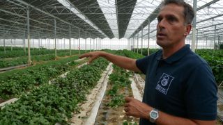 « La diversité de production fait que c'est plus difficile à cultiver mais les différents insectes peuvent aussi se neutraliser entre eux », détaille David Monceret.