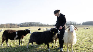 La foncière agricole et solidaire Feve lance un appel à projets réservé aux agricultrices pour les encourager à s'installer.
