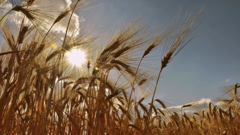 Il fera chaud cette semaine sur la France ! Il fera chaud cette semaine sur la France !