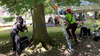 L’épreuve de secours, organisée lors des dernières Rencontres nationales d’arboriculture, à Hellemmes (59), est l’une des cinq étapes de sélection pour le championnat de France, chaque année dans une ville différente.