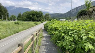 Gestion des terres contaminées.