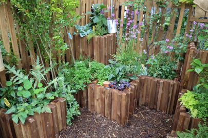Le nouveau Grand Prix Valhor du petit potager et du balcon urbain a été attribué à Clara Bodin (Eliott).